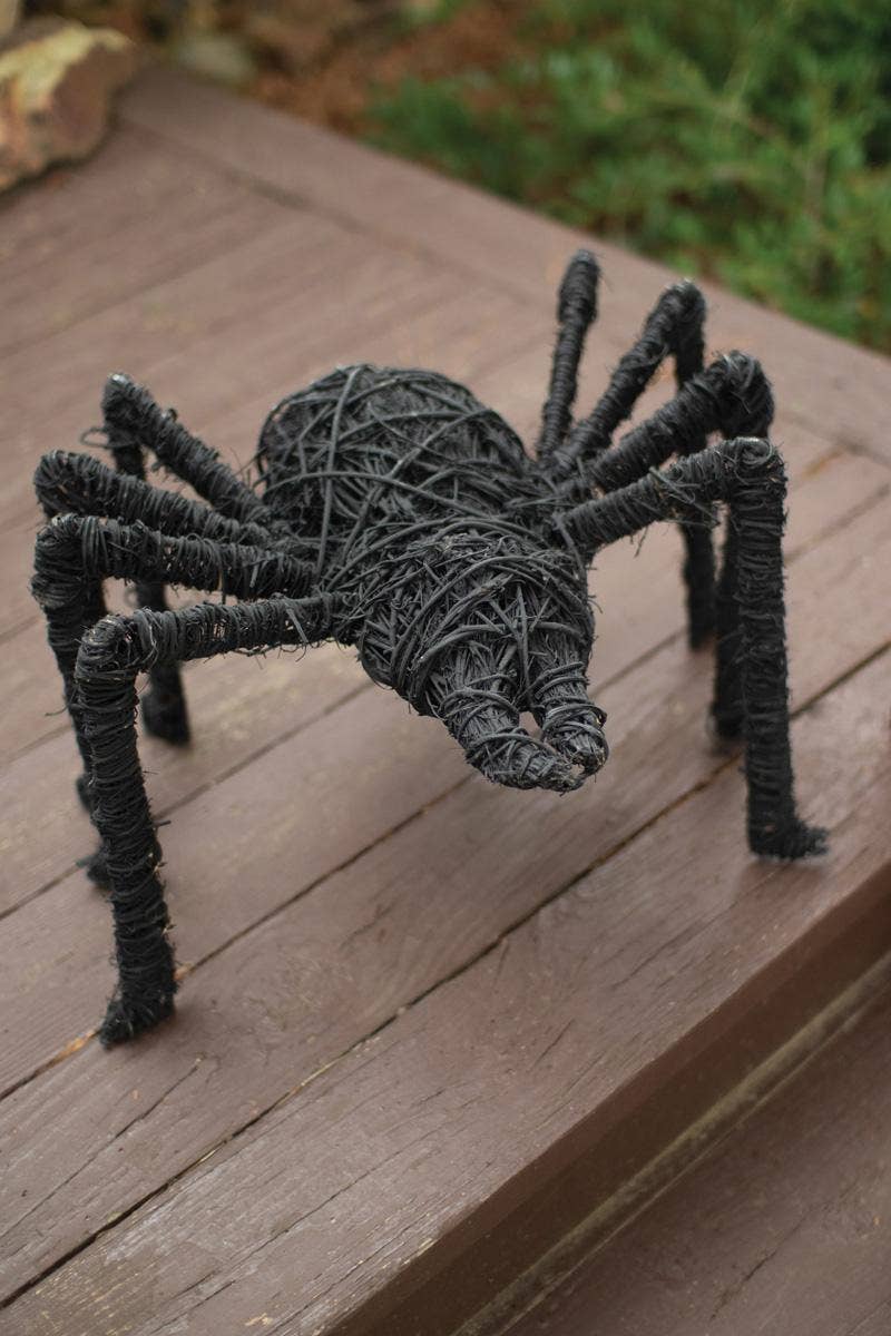 Black Twig Spider