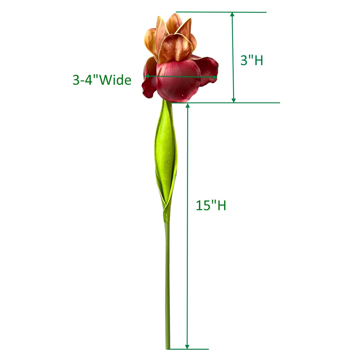 18"-Ultra Soft Real Touch Bearded Iris Stem: Natural Yellow