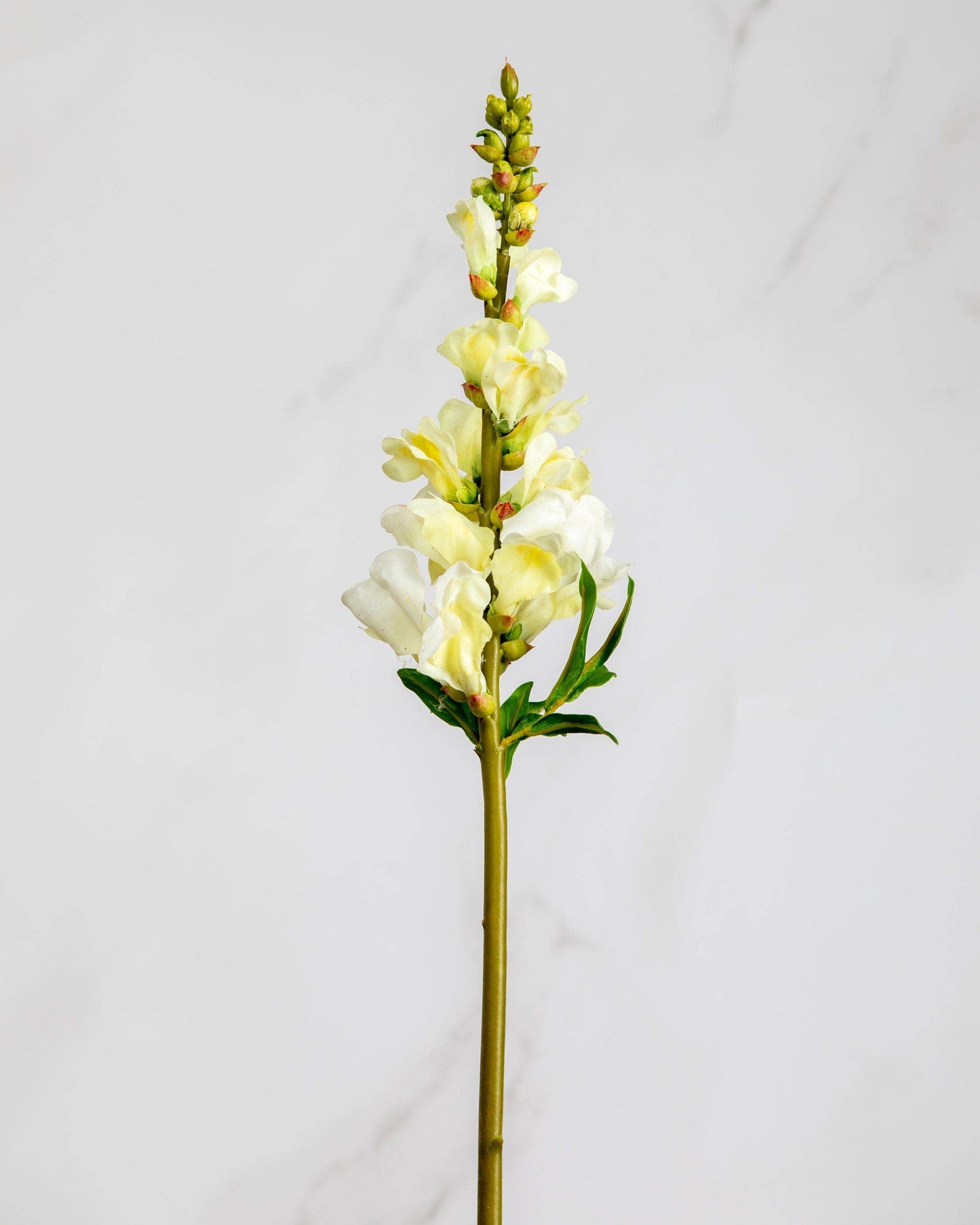 Real Touch Lemon Snapdragon 23”