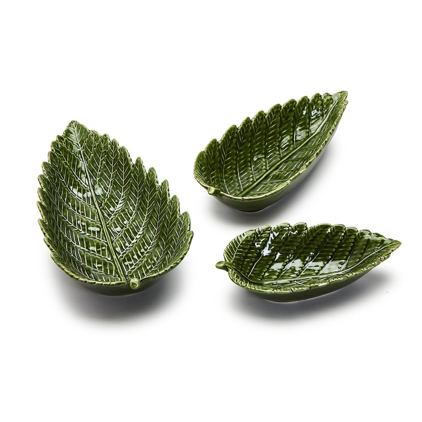 Fern Plates