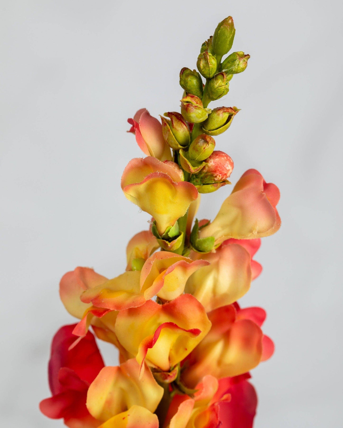 Real Touch Orange Snapdragon 23”