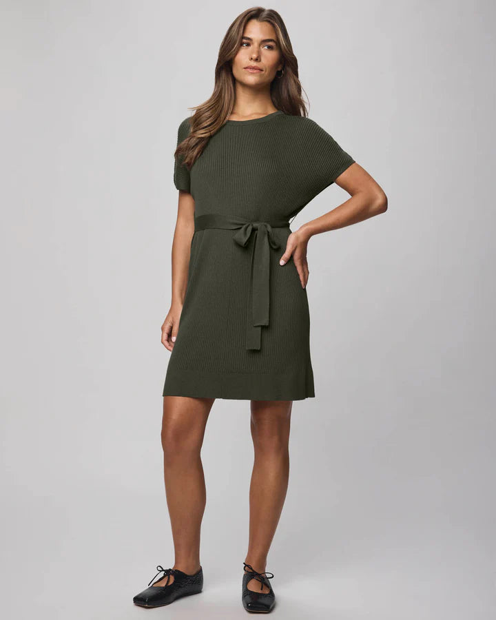Splendid Georgie Mini Dress in Spruce Green