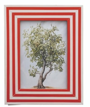 Red & White Striped Frame