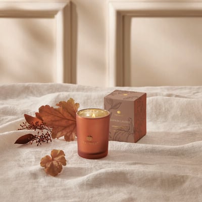 Thymes Pumpkin Laurel Boxed Candle 6.5 OZ