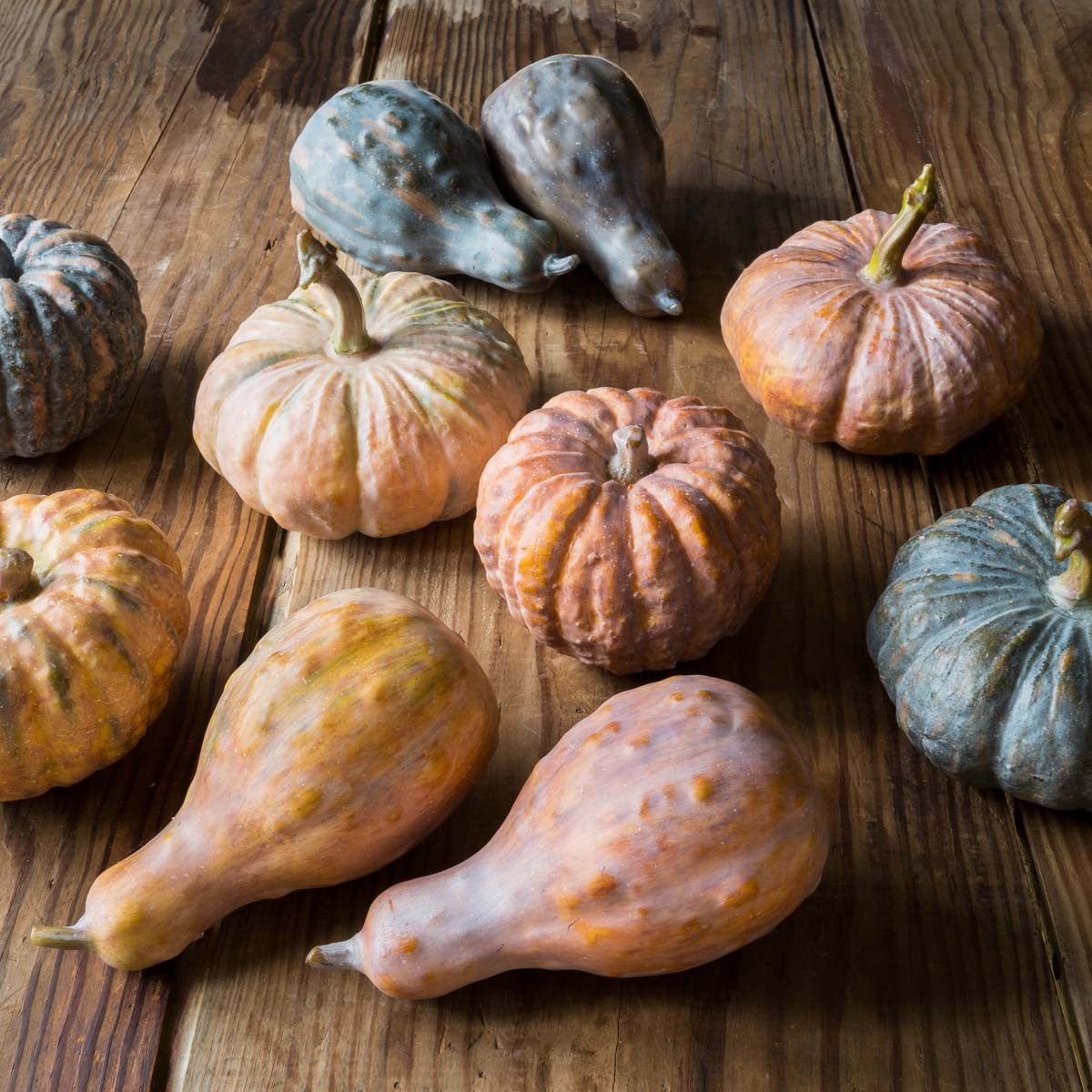 Fall Faux Gourd