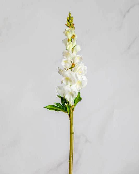 Real Touch White Snapdragon 23”