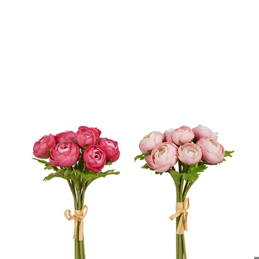 11 Soft Touch Ranunculus Bundle