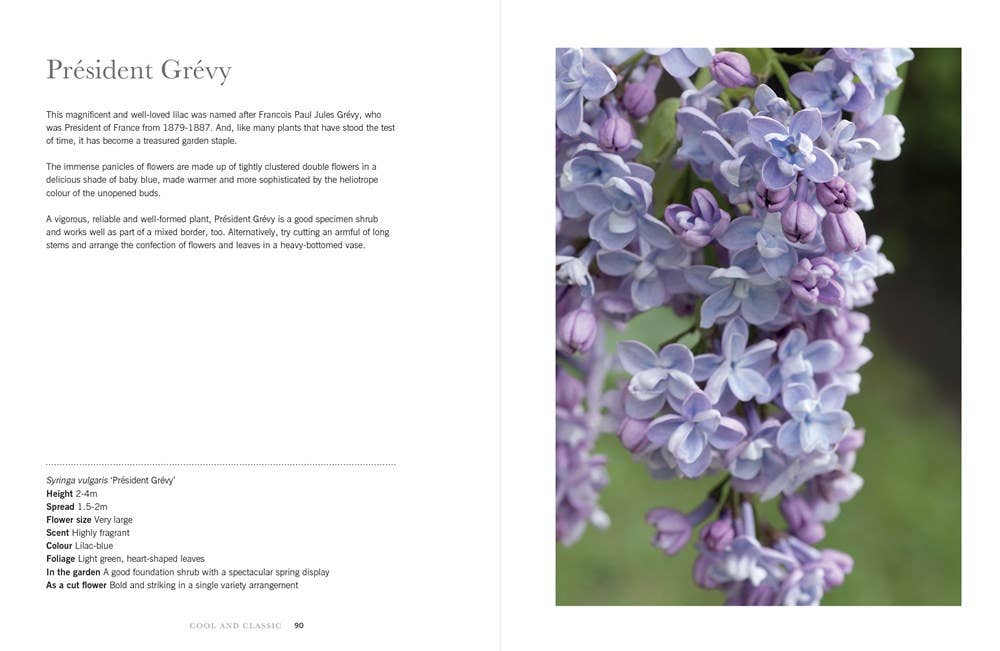 Lilacs: Beautiful Varieties for Home & Garden