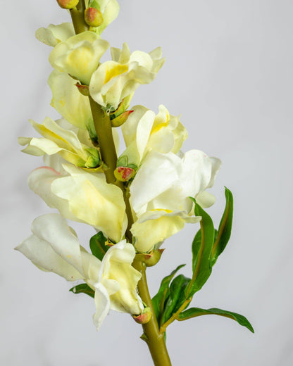 Real Touch Lemon Snapdragon 23”
