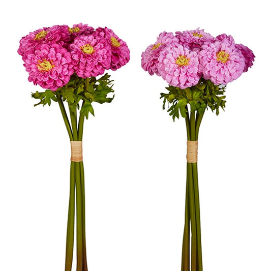 22 Pink Zinnia Bundle