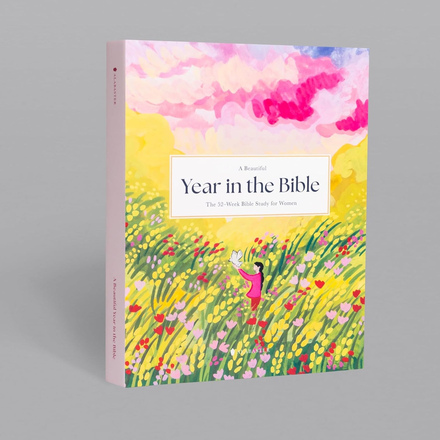 Beautiful Year in the Bible Book