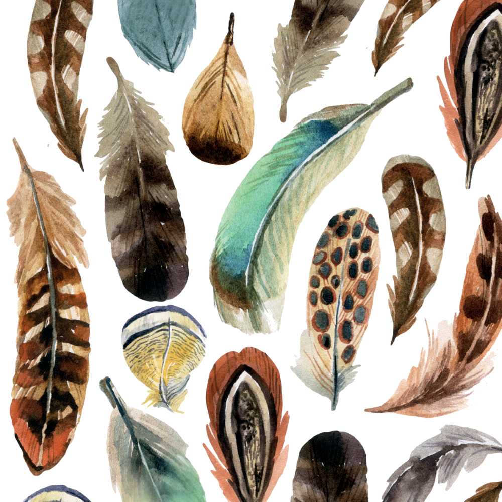 Fall Feathers Paper Cocktail Napkin