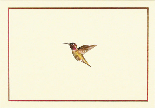 Hummingbird Flight Note Cards