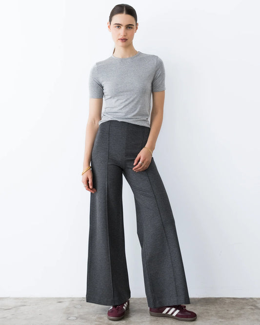 Ripley Rader Ponte Knit Standard Wide Leg Pant | Charcoal