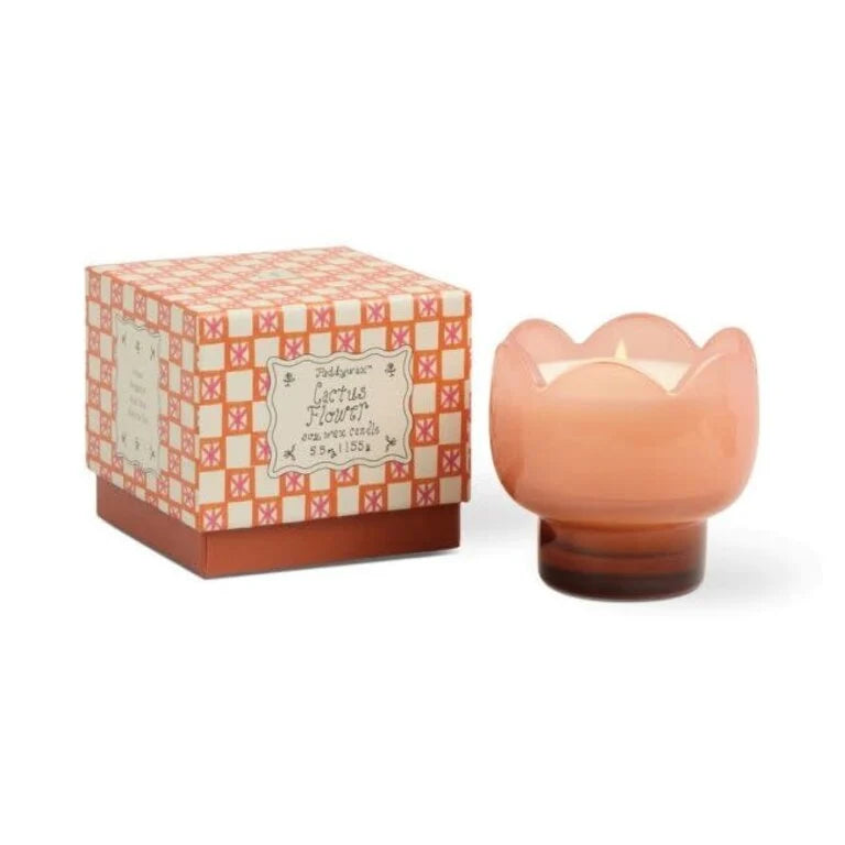 Paddywax Tulip 5.5oz glass with Printed Box - Cactus Flower