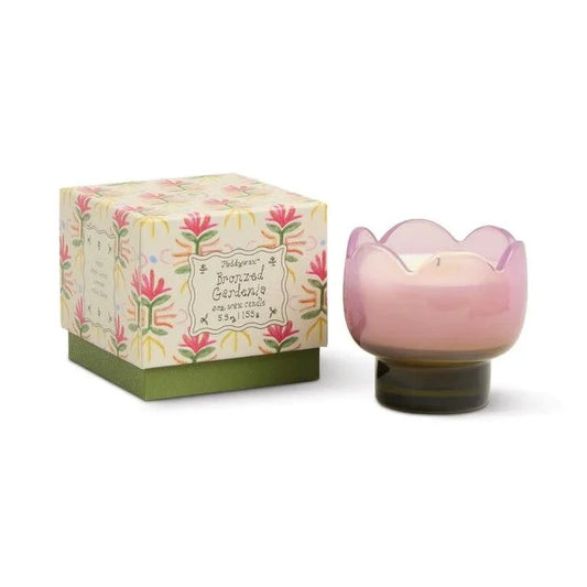 Paddywax Tulip 5.5 oz  Glass w/ Printed Box - Bronzed Gardenia