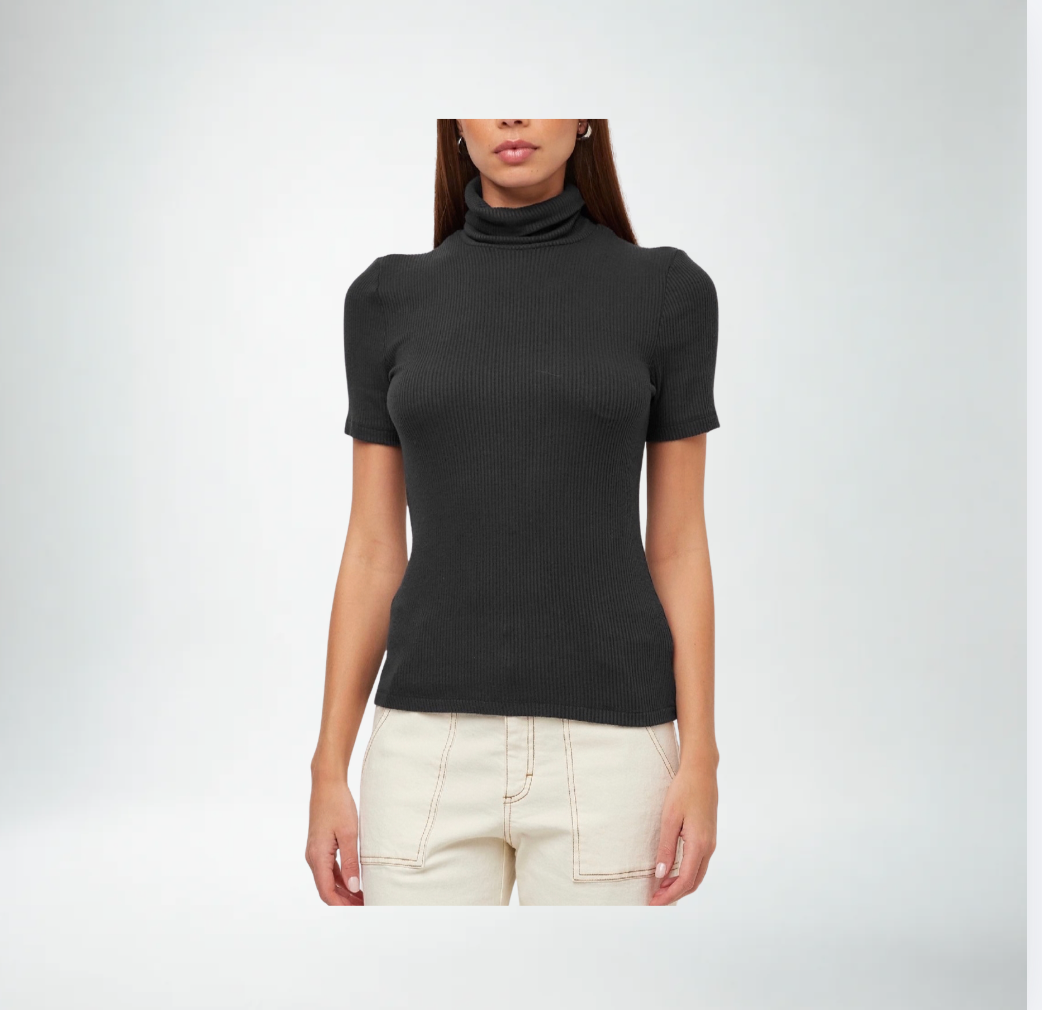 Jana Short Sleeve Turtleneck Top | Black