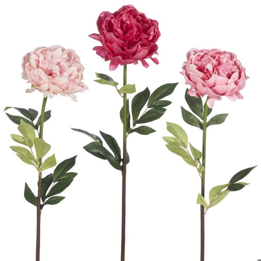 25 Real Touch Peony Stem