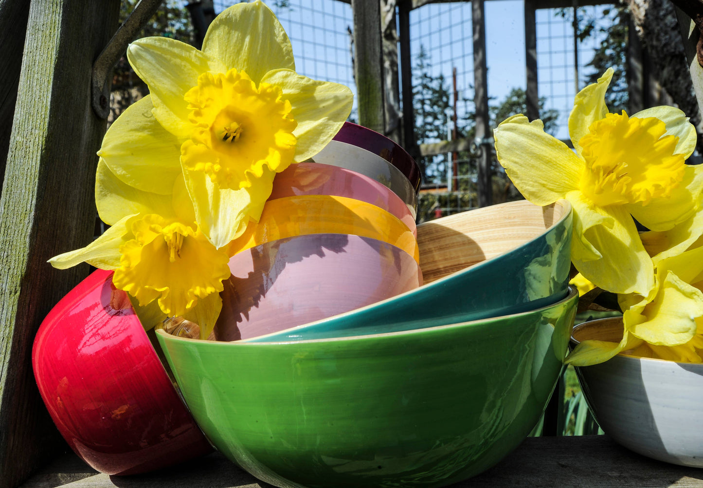 Bamboo Classic Bowl: Turquoise