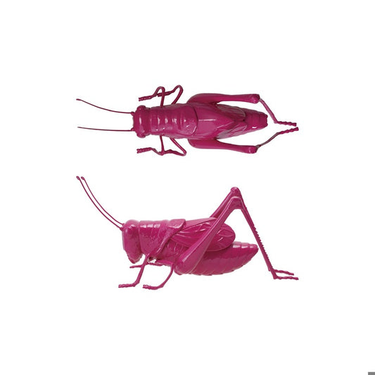 Fuchsia Resin Cricket