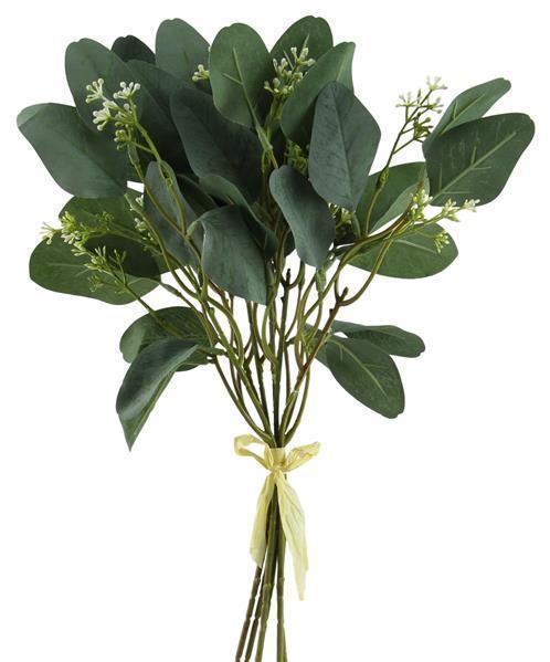 Eucalyptus Agalaia Bundle