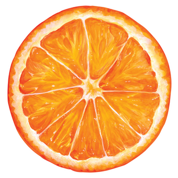Die-Cut Orange Placemats- 12 Sheets
