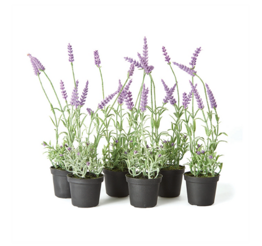 13" French Lavender Drop-In