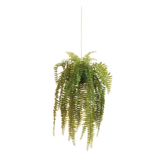 26" Boston Hanging Fern