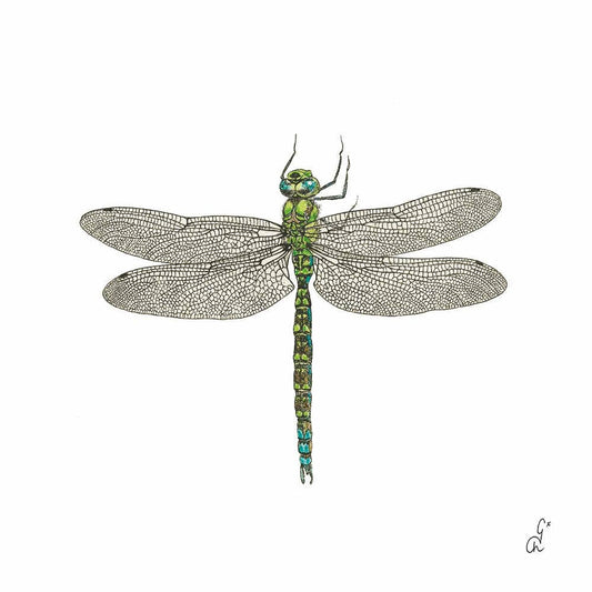 Dragonfly Lunch Napkin