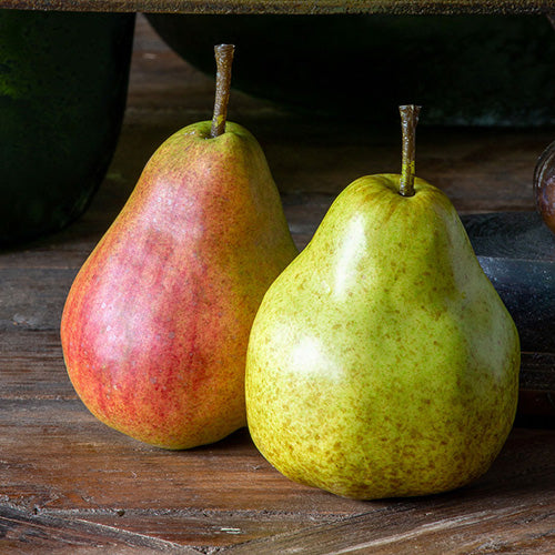 Crafted Green Market Pears